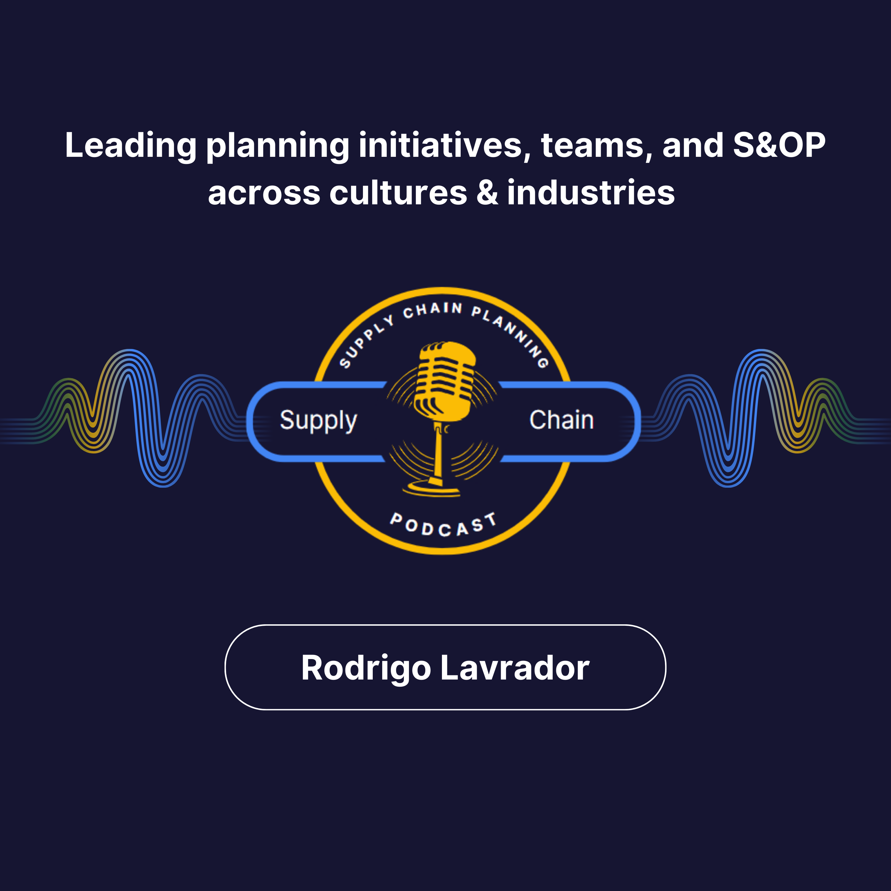 Leading planning initiatives, teams, and S&OP across cultures & industries